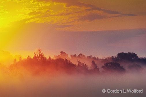 Trees In Fiery Mist_28004.jpg - Photographed along the Rideau Canal Waterway near Smiths Falls, Ontario, Canada.